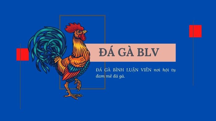 Đá gà bình luận viên hấp dẫn trong đá gà online